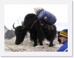 15April05 - EverestTrek 187 * 2048 x 1536 * (601KB)